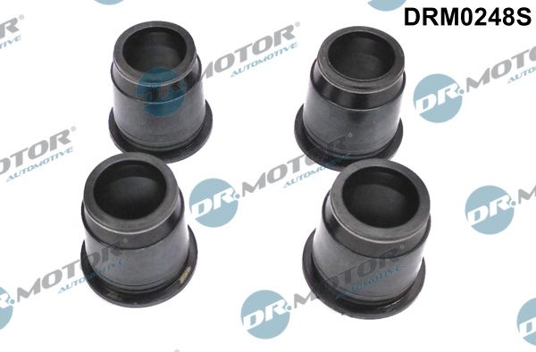 DR.MOTOR AUTOMOTIVE Tihend,düüsikinnitus DRM0248S